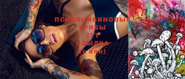 spice Вязники