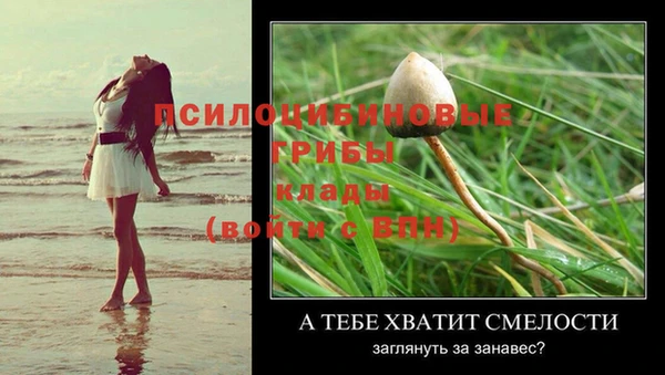 мяу мяу кристалл Вяземский