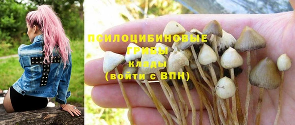 spice Вязники