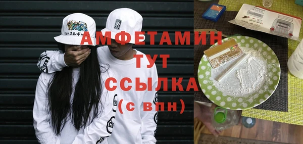 spice Дмитриев