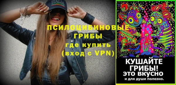 spice Вязники
