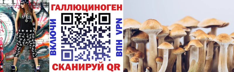 Купить  Кирсанов  Галлюциногенные грибы мицелий 